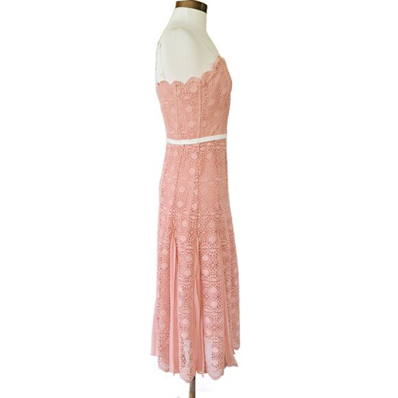 Gianni Bini Mae Pale Pink Lace Midi Dress Size 4 Chiffon Pleats - Picture 4 of 11